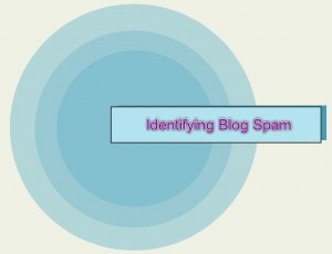 Identifying Blog Spam